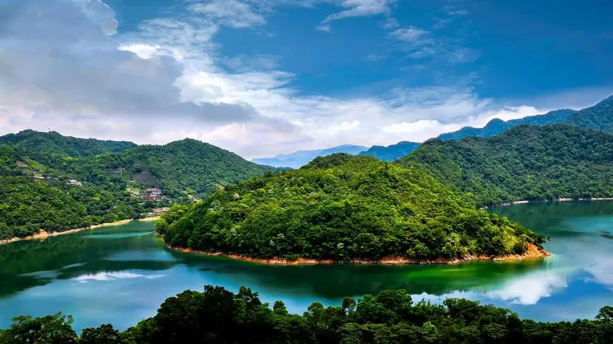 全自动高端